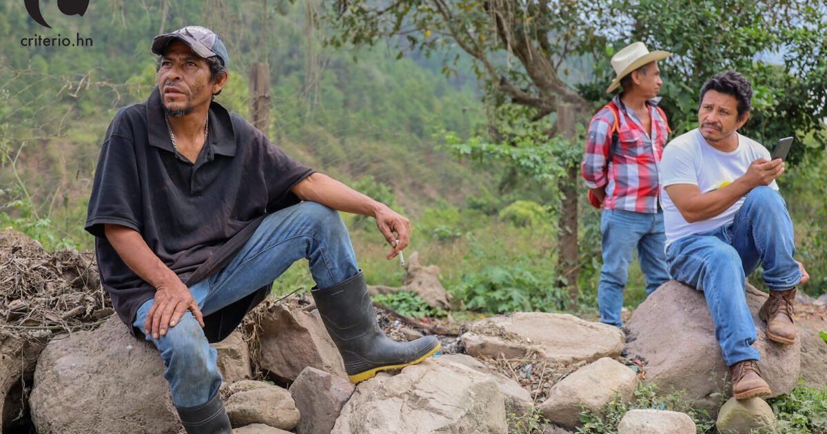 Voltear hacia afuera: Honduras en su laberinto