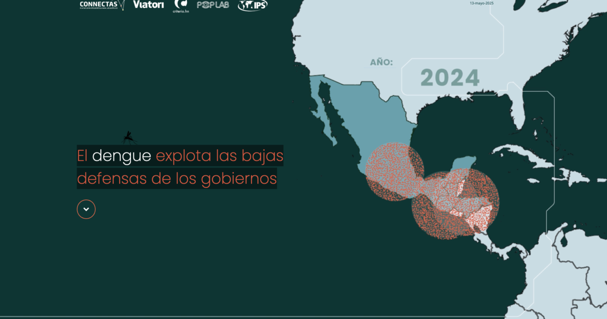 El dengue explota las defensas de los gobiernos