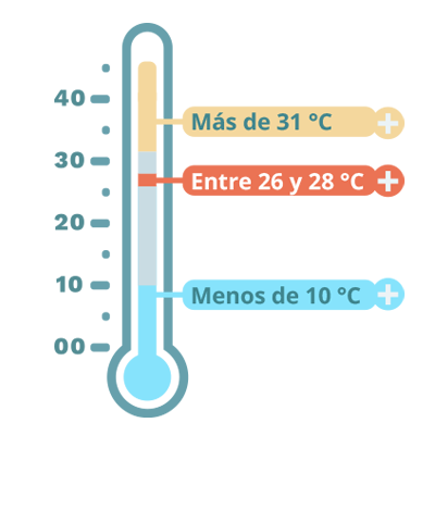 Termometro